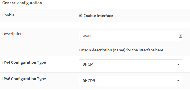 DHCP Setting for the WAN interface